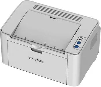 Замена головки на принтере Pantum P2200 в Ростове-на-Дону